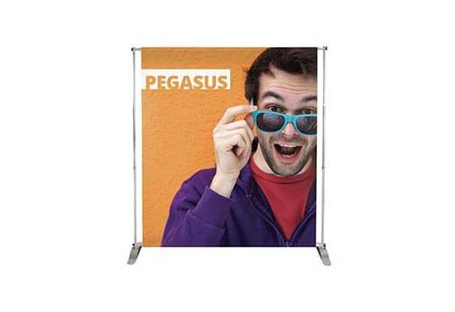 Banner mod. "Pegasus"